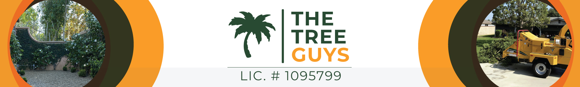 The Tree Guys - Logo